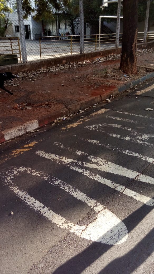 2018620_Celso Ávila reivindica melhorias na rua Dom Manuel, no bairro Santa Terezinha.jpg